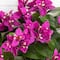19" UV Resistant Artificial Bougainvillea Bushes, 4ct.